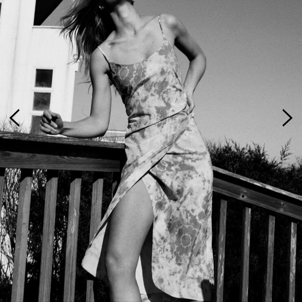 The Westside Paloma Slip Dress